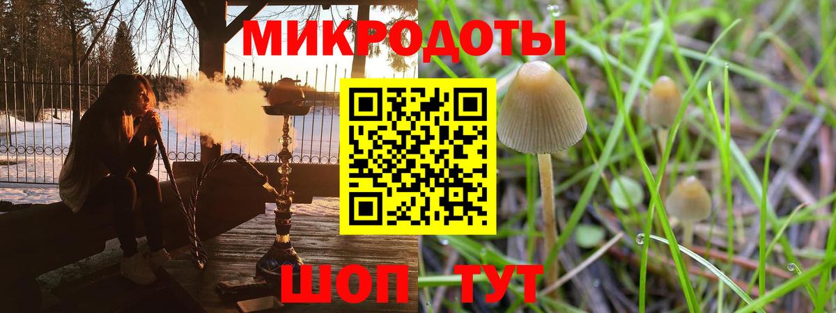 Псилоцибиновые грибы ЛСД Богородск
