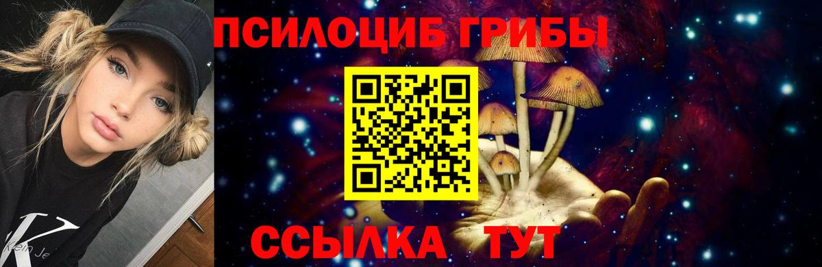 Богородск  Псилоцибиновые грибы GOLDEN TEACHER  Вход с VPN 