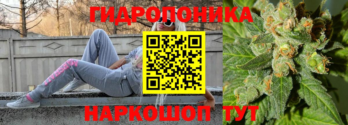 Бошки Шишки ГИДРОПОН  Бошки Шишки OG Kush  Богородск  Вход с VPN 